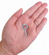 Image result for Weighted Swivel Eye Hook