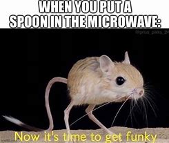 Image result for Spoon in the Microwave Meme