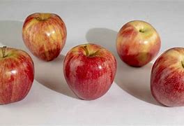 Image result for 18 Gala Apples