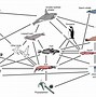 Image result for Prairie Ecosystem Food Chain