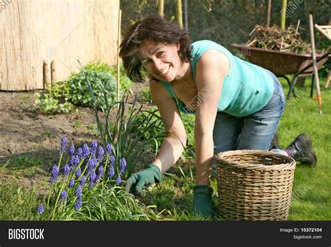 Image result for Identifying Variables Worksheet.pdf