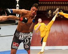 Image result for Kung Fu vs MMA