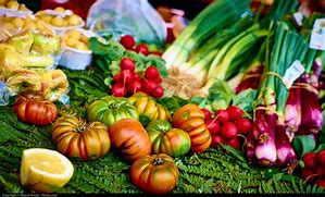 Image result for Vegetarian Diet for Weight Loss