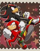 Image result for Shadow X Knuckles Family