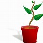 Image result for Growing Vine Clip Art