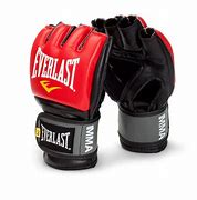 Image result for Martial Arts Equipment
