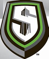Image result for New York Sentinels Logo