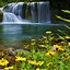 Image result for Spring Beautiful Waterfalls