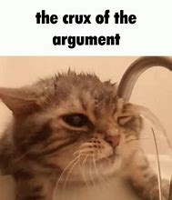 Image result for Cat Argument Meme