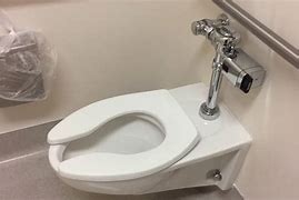 Image result for Toilet Using Pneumatic Flush
