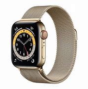 Image result for Apple Watch Series 6 44Mm Stainless Steel