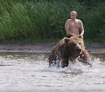 Image result for Putin White Bear