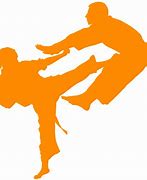 Image result for Martial Arts Styles Sport