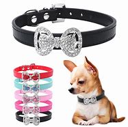 Image result for Bling Dog No Hair