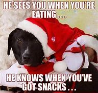 Image result for Christmas Puppy Meme