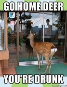 Image result for Funny Ewe Drinking