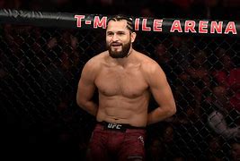 Image result for Favorite UFC Fighters