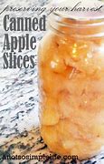 Image result for Canned Apple Slices in Syrup
