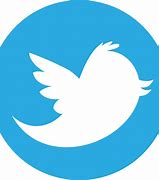 Image result for Blue Circle Twitter Logo