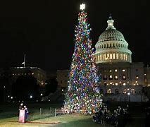 Image result for PPL Building at Christams