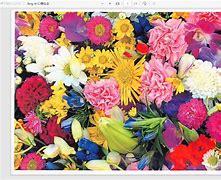 Image result for Fujitsu ScanSnap iX500 Scanner