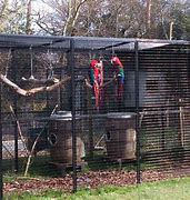 Image result for zoo cages designs