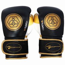 Image result for Ringside Boxing Gloves