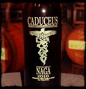 Image result for Caduceus Nagual Naga Ranchita Canyon