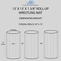 Image result for Wrestling Throw Out