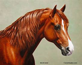 Image result for Chestnut Horse Painting