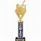 Image result for Cricket Trophies in India