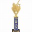 Image result for Cricket Awards and Trophies