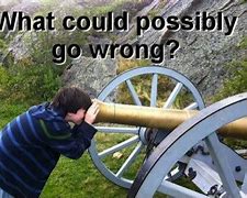 Image result for What Could Go Wrong Meme