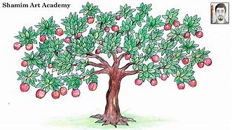 Image result for Drawn Apple Tree