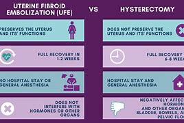 Image result for 5 Cm Fibroid in Uterine