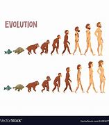 Image result for Evolution Diagram