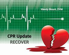 Image result for Recover Initiative CPR