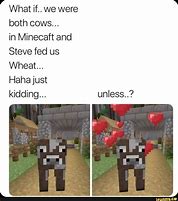 Image result for Minecraft Steve Cow Meme