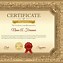Image result for Gold Award Certificate