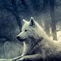 Image result for 4K Cool Wolf Wallpaper