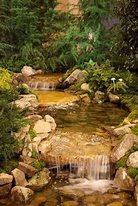 Image result for Mystical Small Waterfall Stream