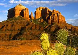 Image result for Cactus Landscape Desert On a Rock