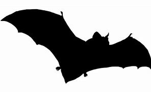 Image result for Bat Silhouette Fiying