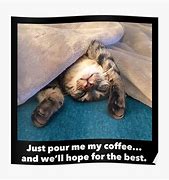 Image result for Sleepy Cat with Coffee Meme
