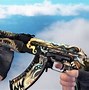 Image result for CS Cases with Anime Skins