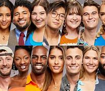 Image result for Big Brother Cast Cards GFX