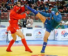 Image result for Russia Deration of Combat Sambo