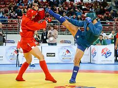 Image result for Russian Sambo Patches