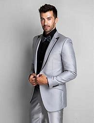 Image result for Silver Tux