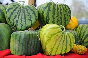 Image result for Japanese Shaped Fruit